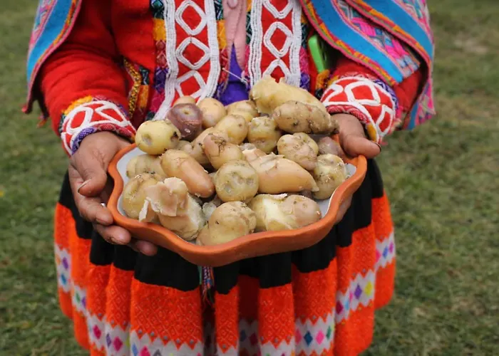 Auberge de jeunesse Patacancha Indigenous Peru Ollantaytambo
