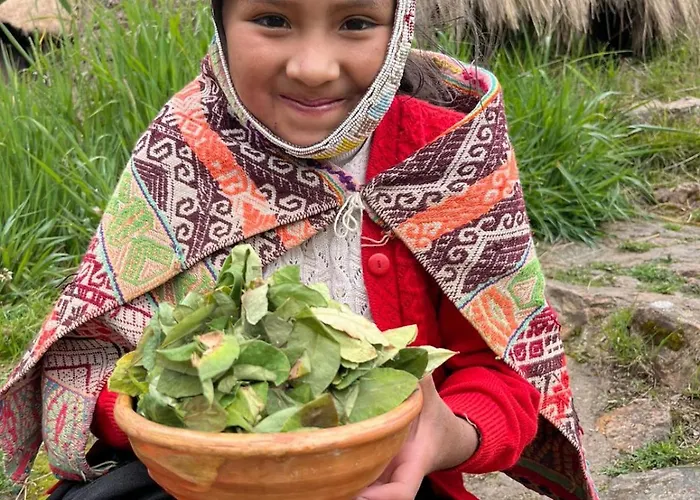 Patacancha Indigenous Peru Auberge de jeunesse *